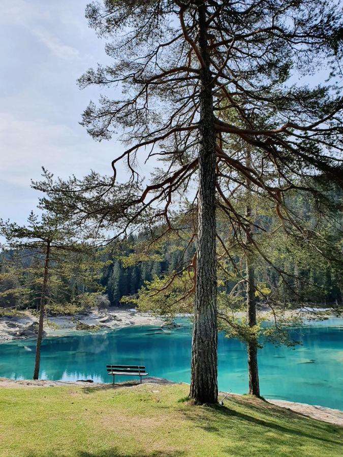 Ferienwohnung Stenna Selva An Toplage Flims Extérieur photo