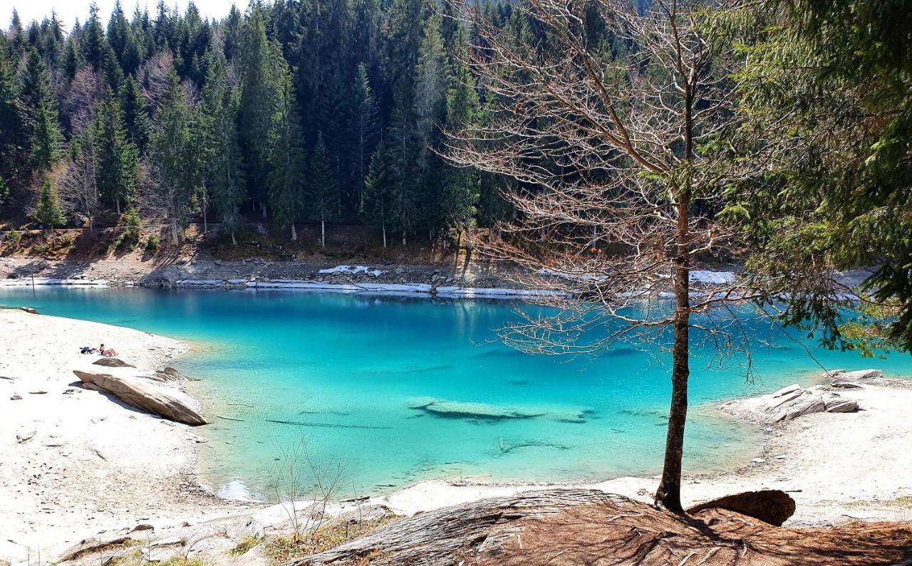 Ferienwohnung Stenna Selva An Toplage Flims Extérieur photo